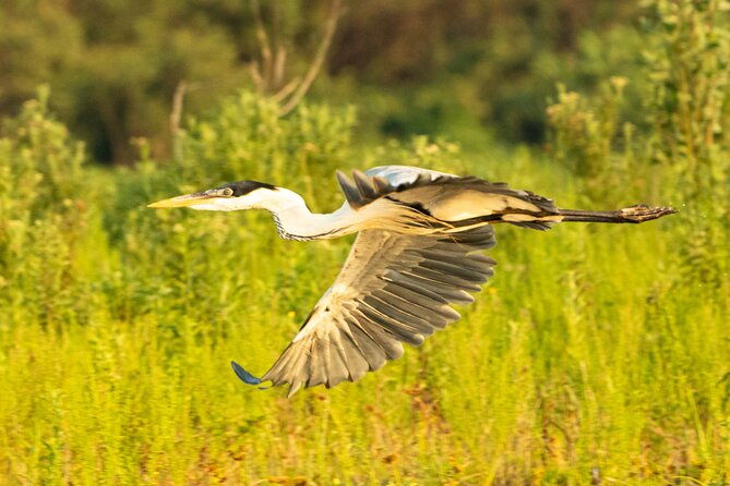 paraguay-river-nature-and-wildlife-boat-tour-from-asuncion