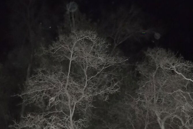 paranormal-investigation-history-ghost-tour-old-town-san-diego