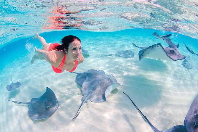 parasailing-snorkel-cruise-sharks-and-stingrays-encounter-tour