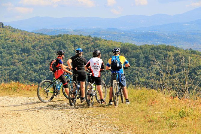 parenzana-trail-full-day-cycling-tour-from-pula-rovinj-porec-or-buje