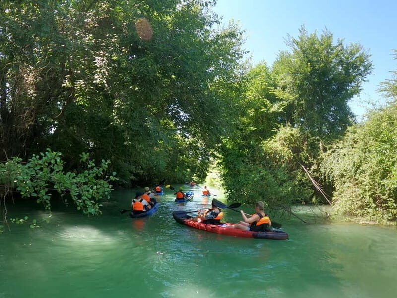 Parga: Acheron River Kayaking Adventure 5.5 km - A Detailed Look at the Kayaking Experience
