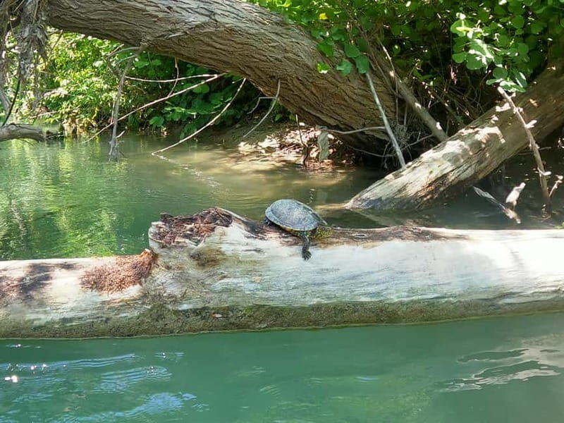 Parga: Kayaking Adventure in the Acheron River 13 km - An Authentic Parga Kayaking Day: What to Expect