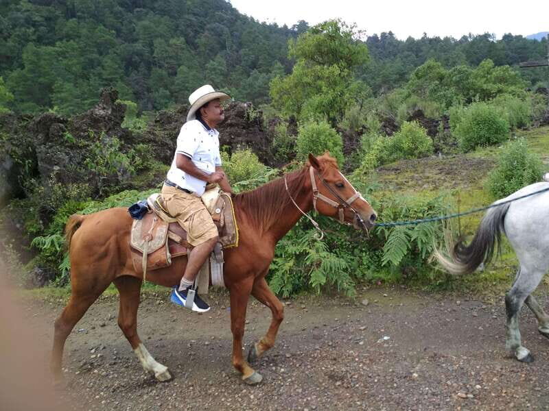 Paricutin Volcano Crater Special Tour - An In-Depth Look at the Paricutin Volcano Crater Special Tour