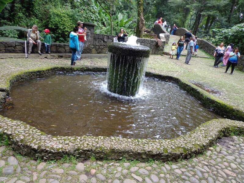 Paricutin Volcano Crater Special Tour - Practical Tips for a Smooth Experience