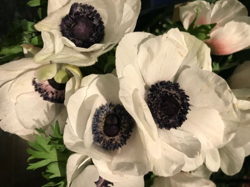 paris-1h30-hour-perfume-walking-tour