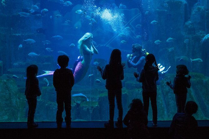 paris-all-inclusive-pass-and-paris-museum-pass-save-up-to-50