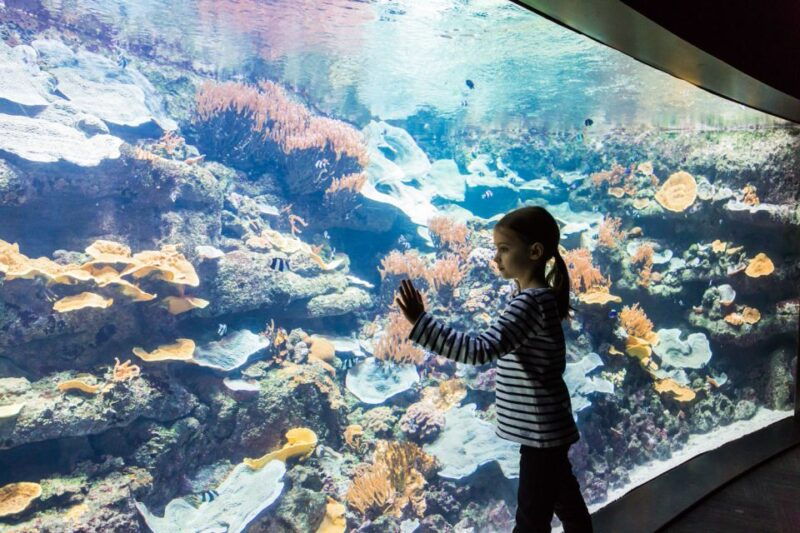 paris-aquarium-de-paris-entrance-ticket