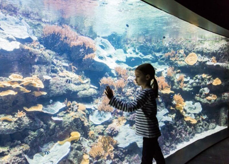 paris-aquarium-entry-ticket-self-guided-eiffel-tower-tour