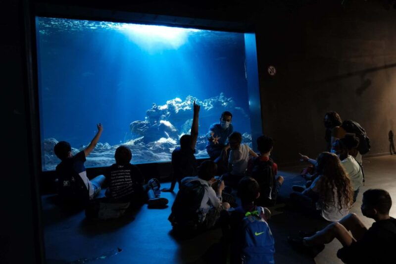 paris-aquarium-entry-ticket-self-guided-eiffel-tower-tour