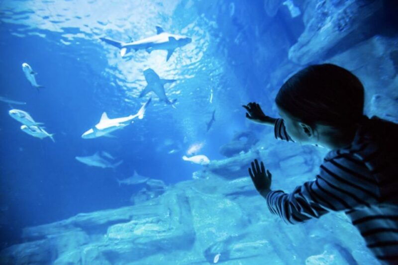 paris-aquarium-entry-ticket-self-guided-eiffel-tower-tour