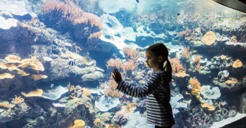 paris-aquarium-entry-ticket-self-guided-eiffel-tower-tour