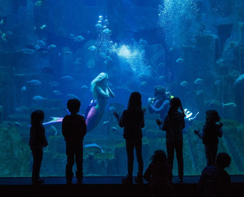 paris-attraction-pass-with-3-4-5-6-or-7-activities