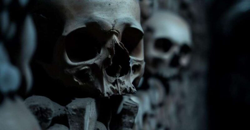 paris-catacombs-audio-guide-and-river-cruise-option