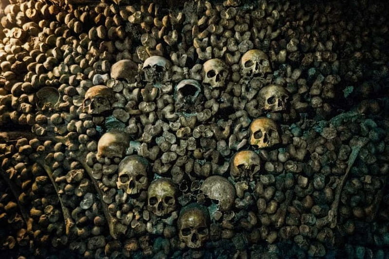 Paris: Catacombs Guided Tour - The Value of This Tour