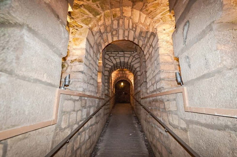Paris: Catacombs Guided Tour - Who Is This Tour Best For?