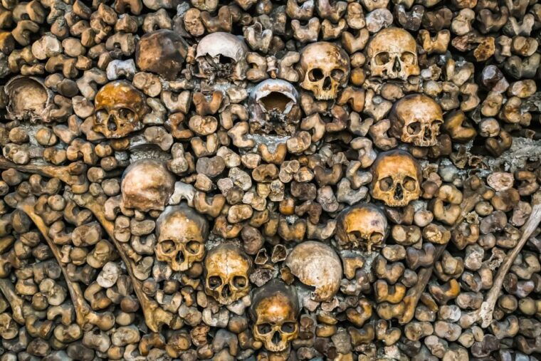 paris-catacombs-restricted-access-tour