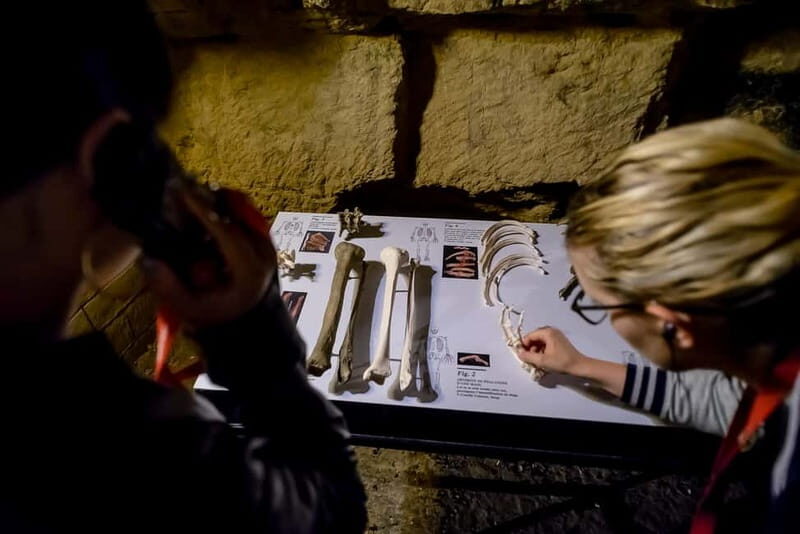 Paris: Catacombs Ticket and Audio Guide - FAQs