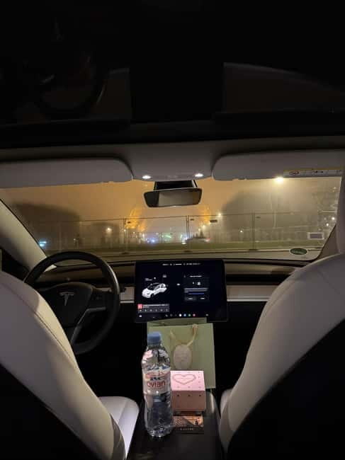 Paris: City Highlights Night Tour in a Tesla - Experiencing Paris by Night in a Tesla: What to Expect