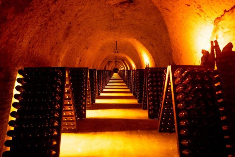 paris-discover-the-cellars-in-the-countryside-in-champagne