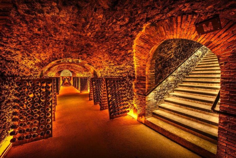paris-discover-the-cellars-in-the-countryside-in-champagne