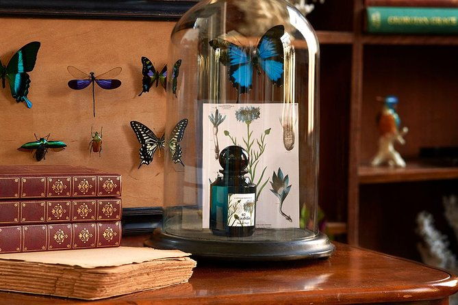 paris-discovery-tour-private-shopping-with-a-fashion-expert-in-paris