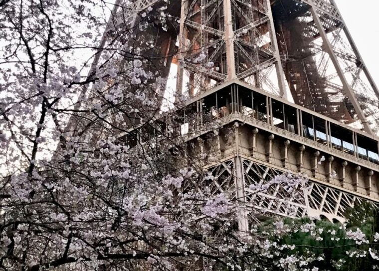 paris-eiffel-tower-guided-tour-with-summit-access