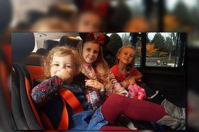 paris-euro-disney-paris-two-way-private-shuttle-transfer