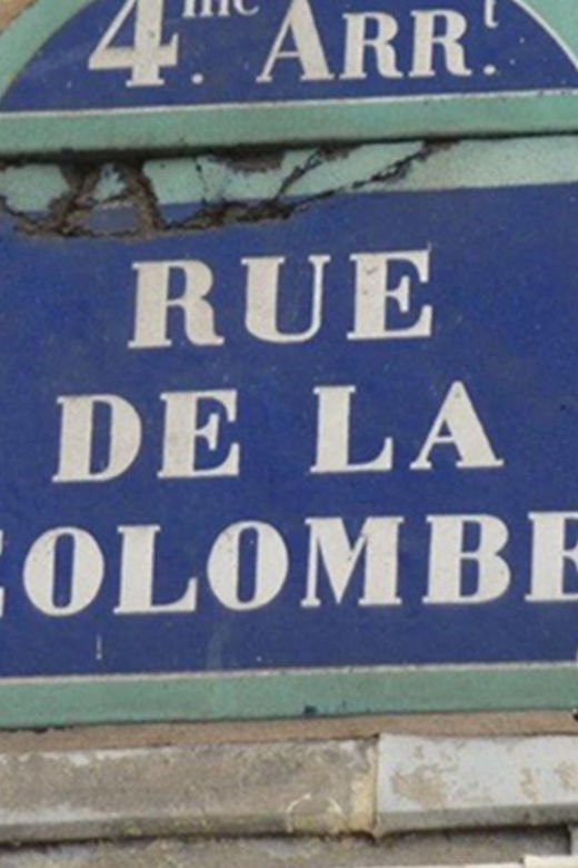 Paris for first-timers from Notre-Dame to the Louvre - The Guide and Group Dynamics