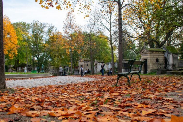 paris-full-day-custom-tour-with-local-guide