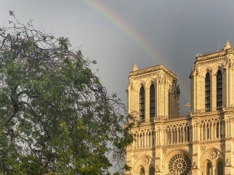 paris-ile-de-la-cite-and-notre-dame-walking-tour-with-crypt-2