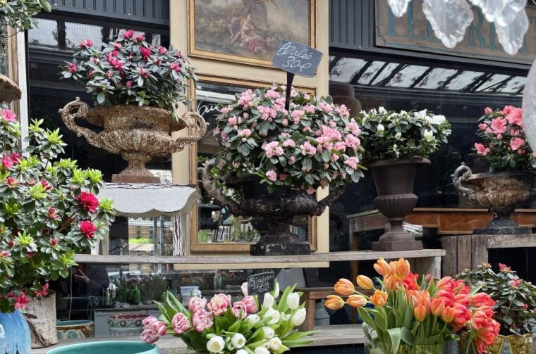 paris-ile-de-la-cite-walking-tour-and-paris-birthplace