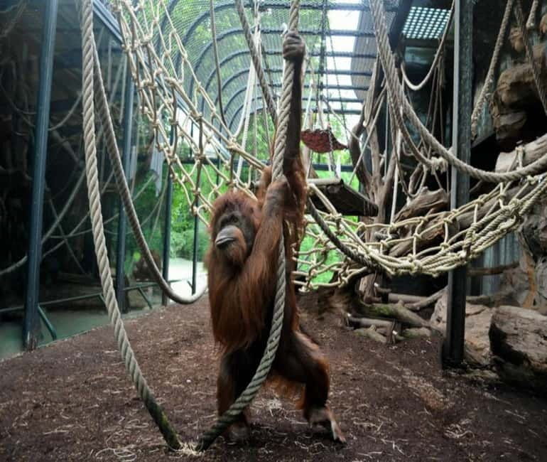 Paris: Ménagerie Zoo of Jardin des Plantes Entrance Ticket - Final Thoughts: Who Will Love This?