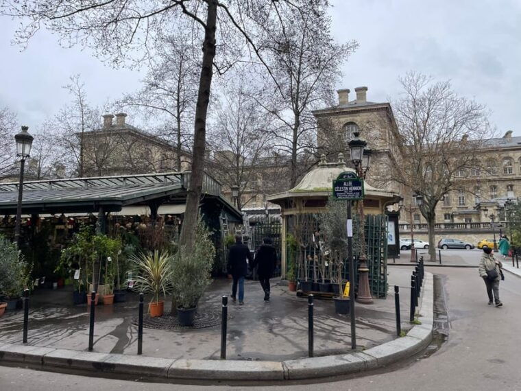 paris-notre-dame-cathedral-exterior-guided-tour