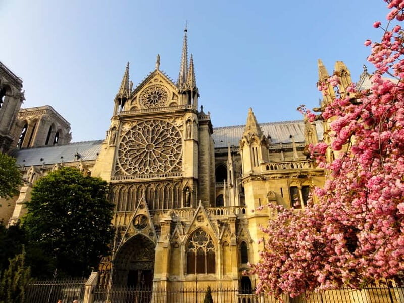 Paris: Notre Dame Exterior Private Guided Tour - Insights from Reviewers