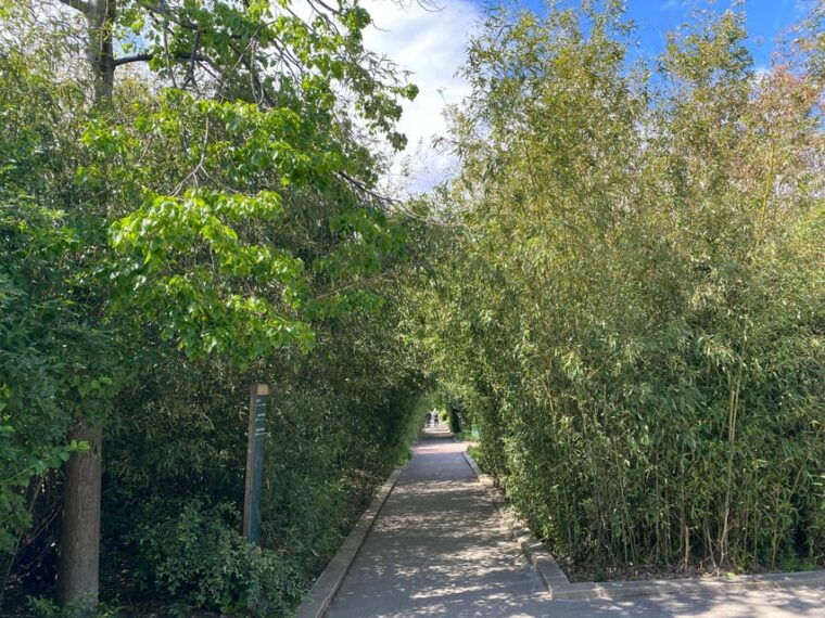 paris-off-the-beaten-path-treasure-hunt-along-coulee-verte