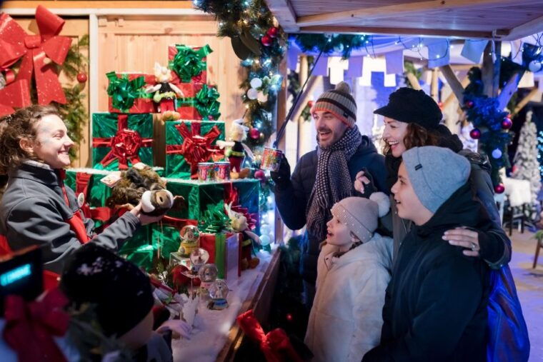 paris-parc-asterix-full-day-entrance-ticket