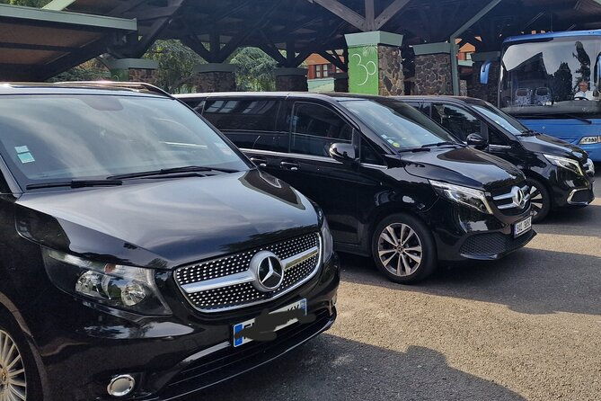 paris-private-city-tour-experience