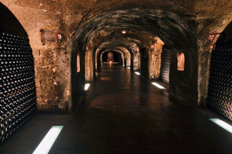 paris-private-day-trip-to-champagne-with-8-tastings-lunch