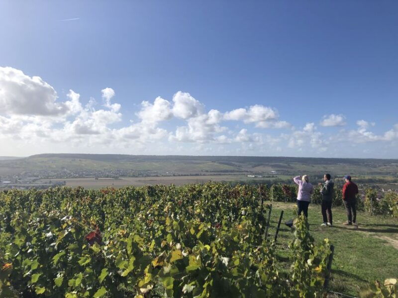 paris-private-day-trip-to-champagne-with-8-tastings-lunch