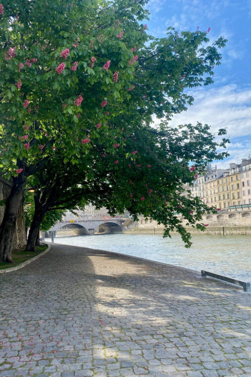 paris-private-early-morning-city-walking-tour