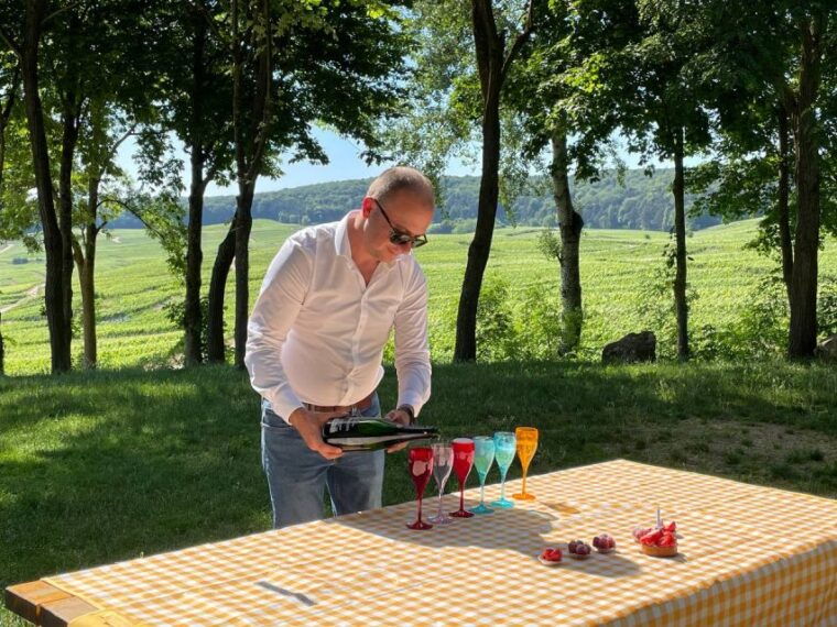 paris-private-epernay-trip-with-champagne-vineyard-tastings