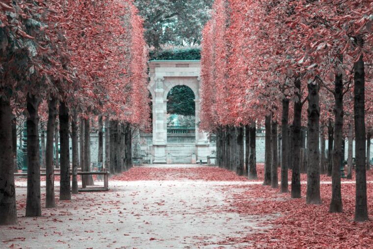 paris-private-full-day-tour-tickets-to-louvre-lunch