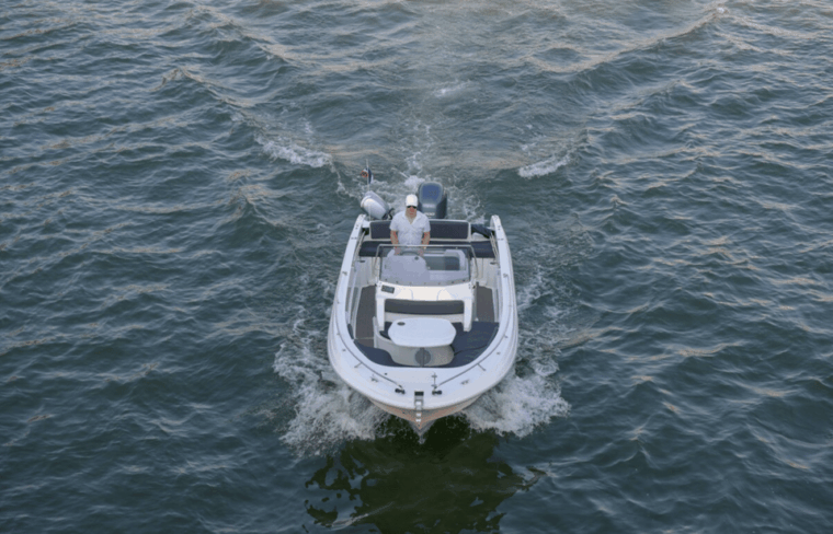 paris-private-river-cruise-with-rose-and-macarons