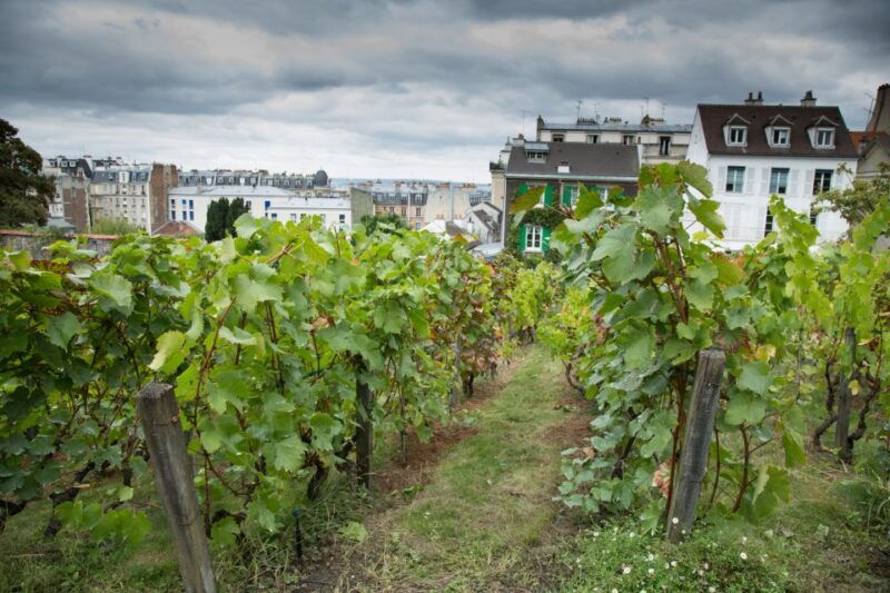 paris-private-tour-to-montmartre-with-eiffel-tower-lunch