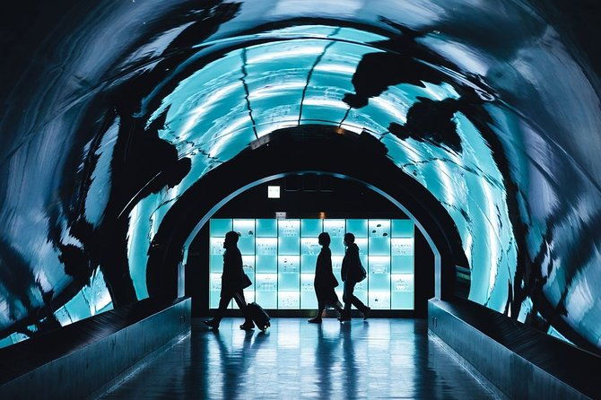 paris-private-transfer-orly-airport-to-paris-city-2