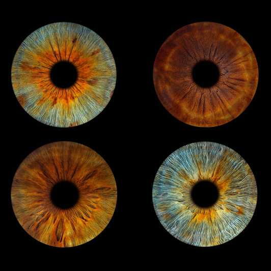 paris-professional-iris-photography-with-a-framed-print