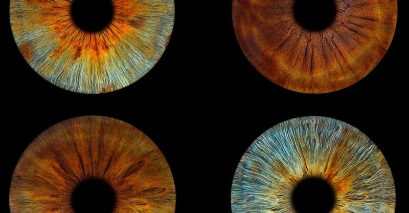 paris-professional-iris-photography-with-a-framed-print