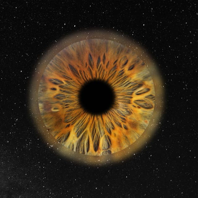 paris-professional-iris-photography-with-a-framed-print