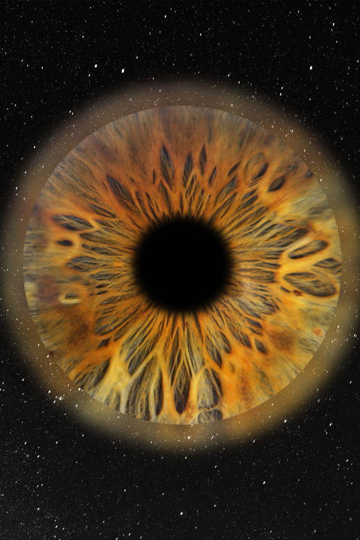 paris-professional-iris-photography-with-a-framed-print