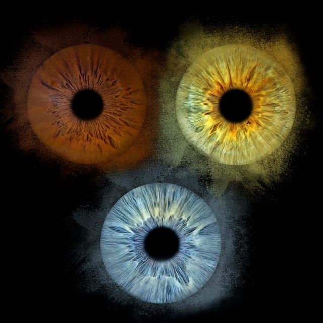 paris-professional-iris-photography-with-a-framed-print